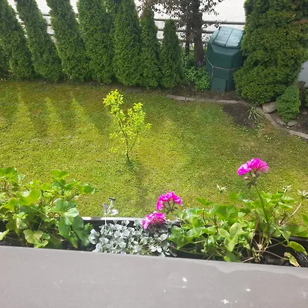 Ferienidylle Im Ostfeld شقة باد هايلبرون